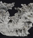 Calcite, Galena, Quartz, Pyrite - floater