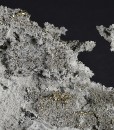 Calcite, Galena, Quartz, Pyrite - floater