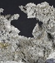 Calcite, Galena, Quartz, Pyrite - floater