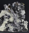 Sphalerite, thin Galena plate , iridescent Chalcopyrite, Quartz, Pyrite