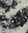 Sphalerite, thin Galena plate , iridescent Chalcopyrite, Quartz, Pyrite