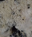 Calcite, Sphalerite, Galena
