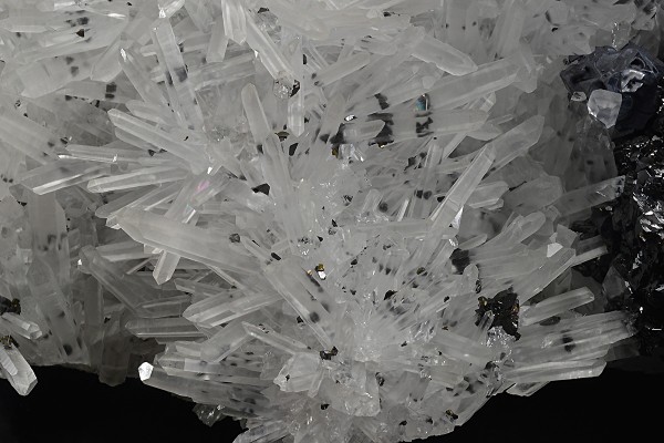 Quartz, Sphalerite, Galena, Chalcopyrite