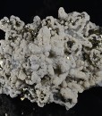 Pyrite, Siderite, Quartz, Calcite