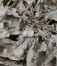 Two generations Calcite with Quartz inclusions
