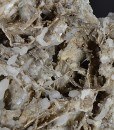 Two generations Calcite with Quartz inclusions