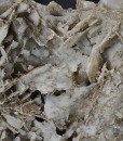 Two generations Calcite with Quartz inclusions