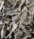 Two generations Calcite with Quartz inclusions
