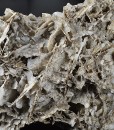 Two generations Calcite with Quartz inclusions