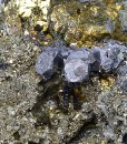 Iridescent Chalcopyrite, Galena, Pyrite, Sphalerite, Quartz