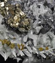Pyrite, Galena, Chalcopyrite, Quartz, Sphalerite