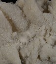 Two generations Calcite