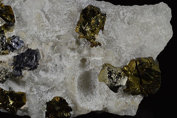 Chalcopyrite, Pyrite set on Calcite, Galena, Quartz