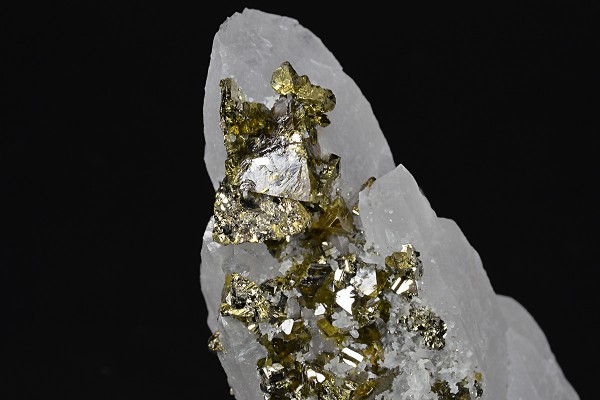 Cleiophane, Pyrite, Chalcopyrite, Galena on Quartz