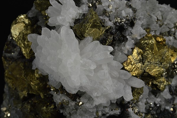 Chalcopyrite, Quartz, Pyrite, Sphalerite