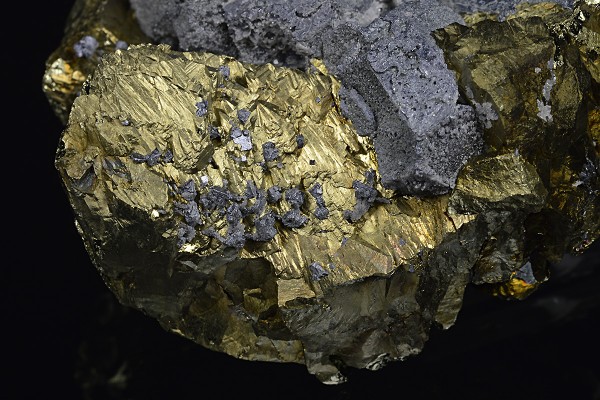 Galena on Chalcopyrite
