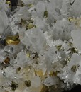 Quartz, Chalcopyrite, Pyrite, Sphalerite, Galena