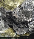 Chalcopyrite, Sphalerite, Galena, Quartz, Calcite