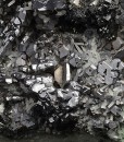 Skeletal Galena, Sphalerite, Japan Law Twin Quartz