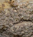 Bi-terminated Quartz, pseudomorphous after Calcite