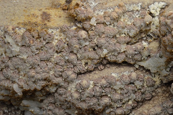 Bi-terminated Quartz, pseudomorphous after Calcite