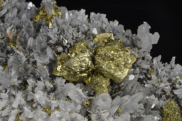 Chalcopyrite, Quartz, Pyrite, Galena