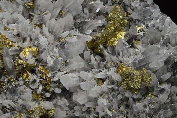 Chalcopyrite, Quartz, Pyrite, Galena