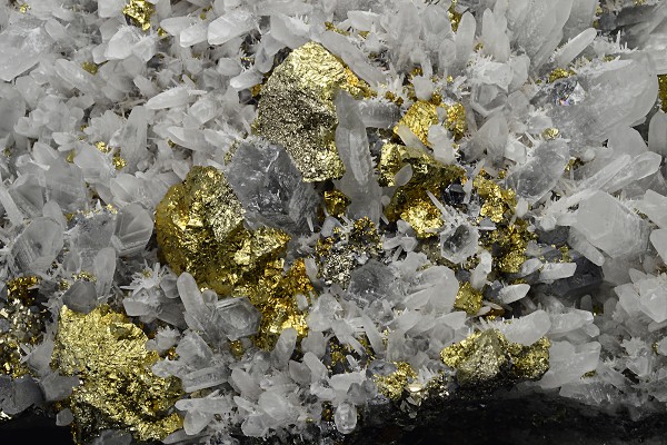 Chalcopyrite, Quartz, Pyrite, Galena