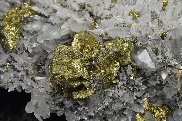 Chalcopyrite, Quartz, Pyrite, Galena