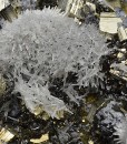 Pyrite, Quartz, Sphalerite, Galena