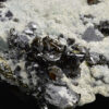 Galena, gem Sphalerite var.Cleiophane, Pyrite, Quartz