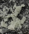 Quartz on Sphalerite, Chalcopyrite, Pyrite, Galena