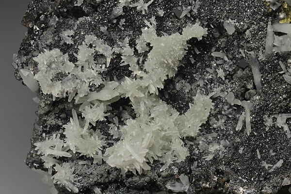 Quartz on Sphalerite, Chalcopyrite, Pyrite, Galena