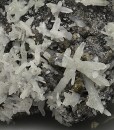 Quartz on Sphalerite, Chalcopyrite, Pyrite, Galena