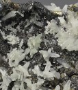 Quartz on Sphalerite, Chalcopyrite, Pyrite, Galena