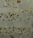 Quartz with Chalcopyrite, Pyrite inclusions