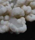 Quartz, Calcite