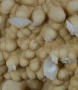 Two generations Calcite