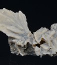 Pseudomorphous after Calcite, Pyrite, Quartz