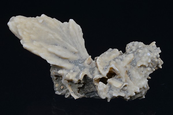 Pseudomorphous after Calcite, Pyrite, Quartz