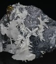 Galena, Quartz, Sphalerite, Chalcopyrite