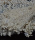 Calcite on Quartz