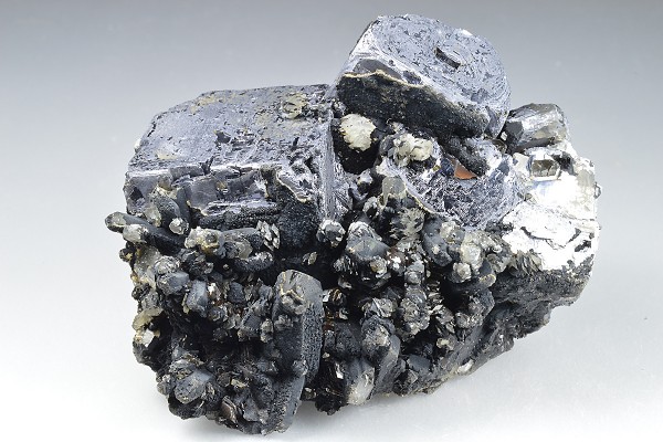 Galena, Quartz, Calcite, Chlorite