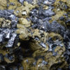 Chalcopyrite, Sphalerite, Quartz, Galena, Pyrite