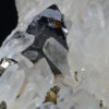 Quartz, Sphalerite, Chalcopyrite, Pyrite