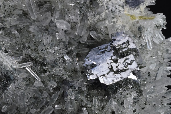 Galena on Quartz