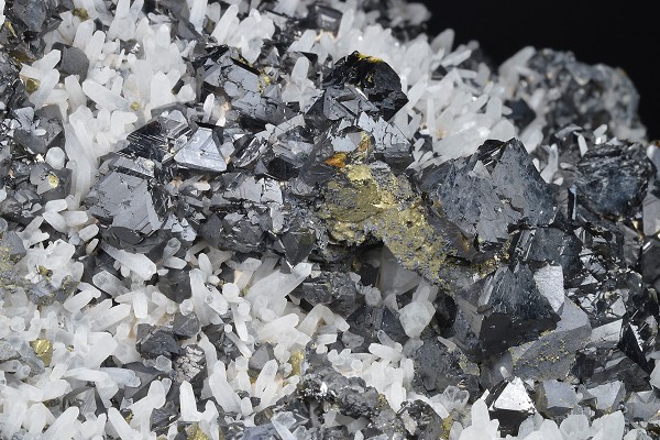 Sphalerite, Quartz, Chalcopyrite, Galena