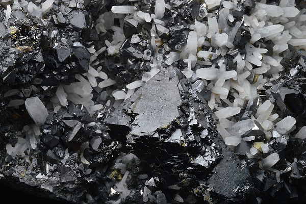 Sphalerite, Quartz, Chalcopyrite, Galena