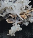 Quartz, Calcite, Galena