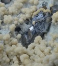 Twinned and truncated Galena on Quartz and Siderite